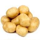 正宗黄心土豆黄皮薄皮软糯清香马铃薯新鲜洋芋蒸煮烹炸幼儿辅食