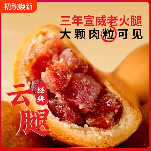 云南特产云腿月饼滇式月饼