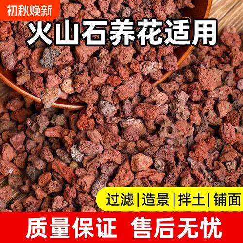 盆栽兰花专用铺面拌土火山石