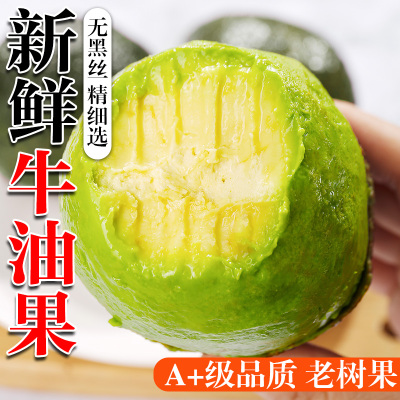 牛油果新鲜水果大果非即食当季整箱包邮哈斯孕妇熟透一级鳄梨