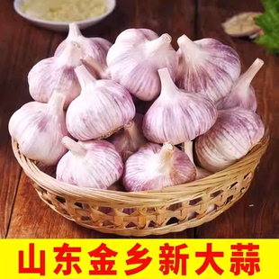 山东金乡大蒜3斤5斤装 紫白皮特大果干大蒜农家自种批发产地直发