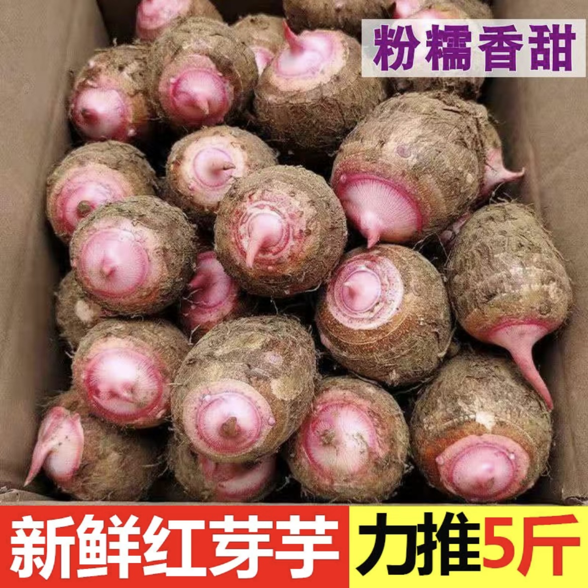 广西桂林红芽芋当季新鲜小香芋艿牛奶芋头槟榔毛芋头蔬菜