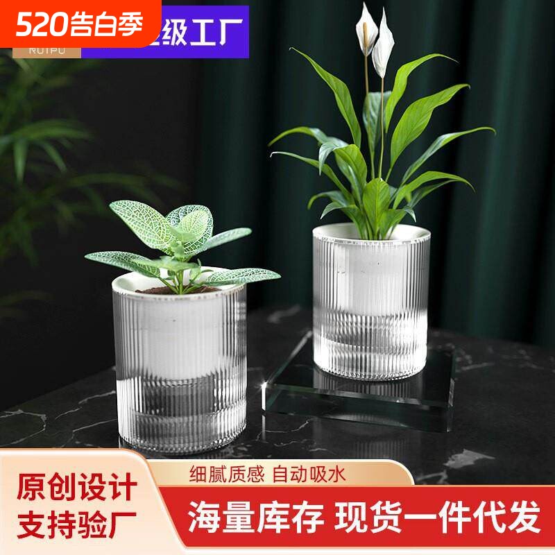 懒人绿萝植物自动吸水花盆透明水培器皿桌面玻璃水养花瓶绿箩专用