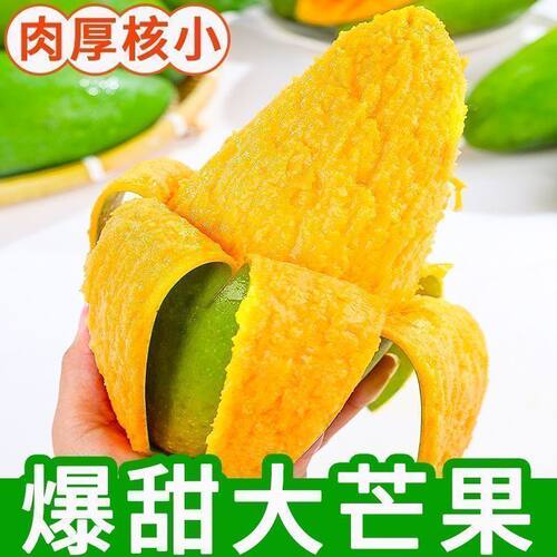 【催熟后食用】越南大青芒果新鲜应季热带水果大金煌水仙芒甜润