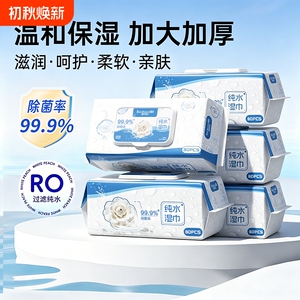 天降！除菌湿巾80抽*1包