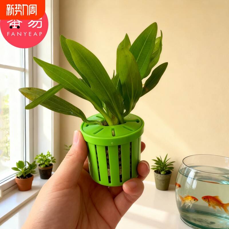 水培定植篮A1vl001-家用种植水草沉底固定器鱼缸水培植物篮造