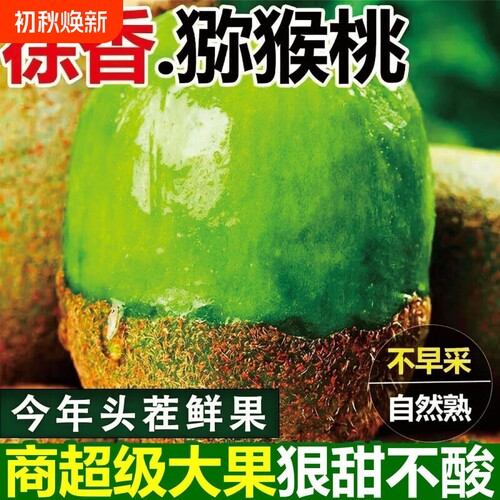 正宗陕西周至徐香猕猴桃绿心奇异果孕妇应季水果现摘现发整箱包邮