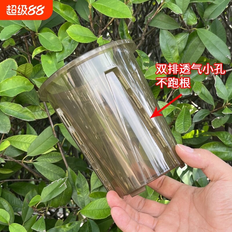 青山控根盆透气加厚透明塑料兰花观根热绿植蔓绿绒花烛龟背竹花盆