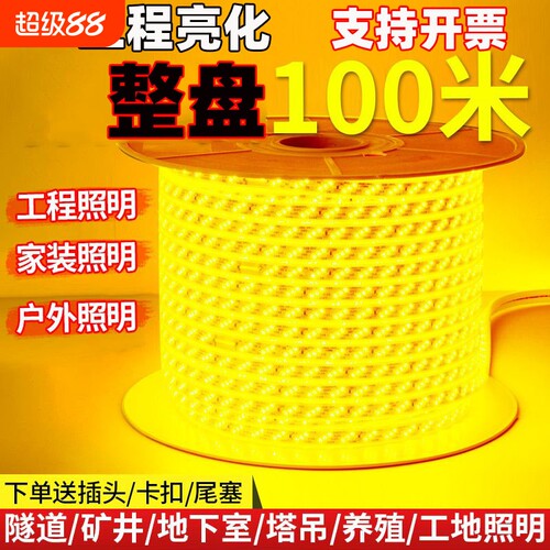 整卷100米超亮LED灯带家装户外工程亮化吊顶户外防雨暖光白光装饰