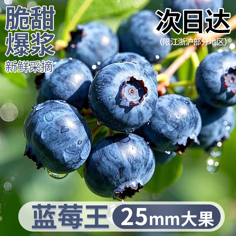 山东高山花香蓝莓现摘鲜果特大果怡应当季水果顺丰/JD包邮美味