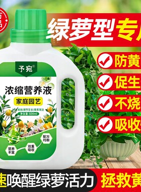 绿萝营养液肥料专用肥植物盆栽花家用用杀菌黄叶水溶浓缩园艺室内