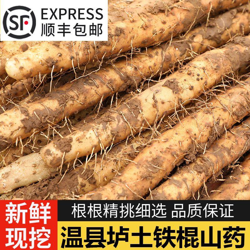 河南焦作温县铁棍山药正宗怀山药铁杆山药怀山药新鲜蔬菜粉糯香甜