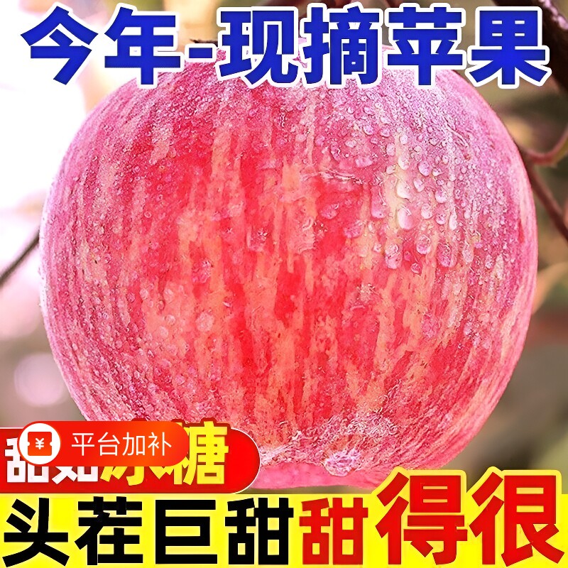 山东烟台红富士苹果薄厚苹果新鲜孕妇水果自然糖心脆甜现摘大果