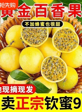 广西钦蜜9号黄金百香果新鲜应当季水果甜蜜多汁皱皮原浆现摘现发D
