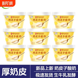 【官方渠道】伊利宫酪奶皮子厚奶皮酸奶半凝固型138g碗装风味酸乳