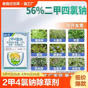 56%二甲四氯钠2甲二钾4氯钠小麦马尼拉草坪阔叶杂草除草剂13%喷雾