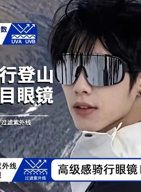 骑行眼镜防风沙户外墨镜男防紫外线太阳镜爬山登山护目女圆脸大框