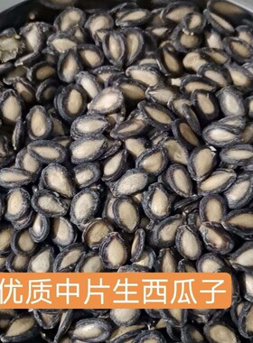 新疆手选生西瓜子批发农家自种黑板打瓜籽小片中片瓜子生特价散装