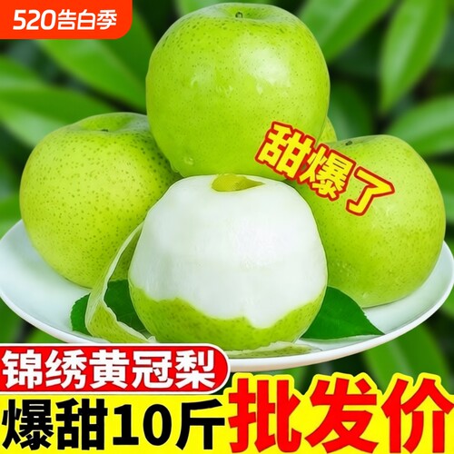 梨子新鲜绿皮皇冠梨青皮皇冠梨当季水果皇冠梨带箱5斤9斤装包邮