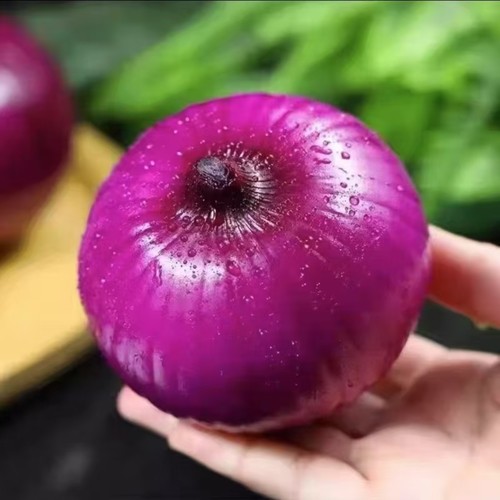9斤装云南紫皮洋葱生吃专用脆甜紫皮新鲜蔬菜圆葱头整箱包邮