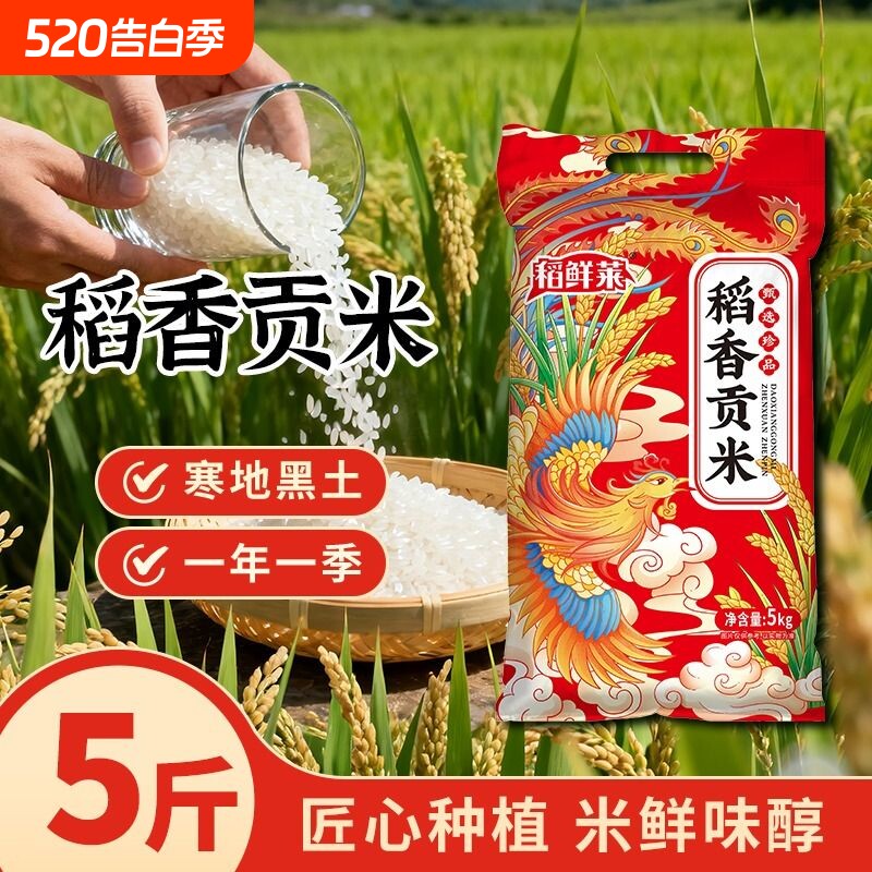 东北大米珍珠米5kg10斤装当季新米20斤产地直发稻香米50斤非