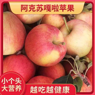 正宗红香蕉苹果稀缺老品种粉面绵软甜苹果可婴幼儿刮泥