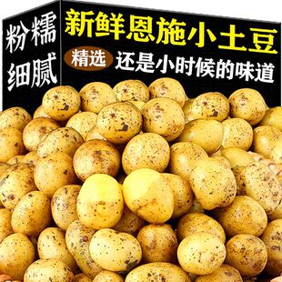 精品小土豆新鲜恩施黄皮黄心洋芋农家自种马铃薯蔬菜批发
