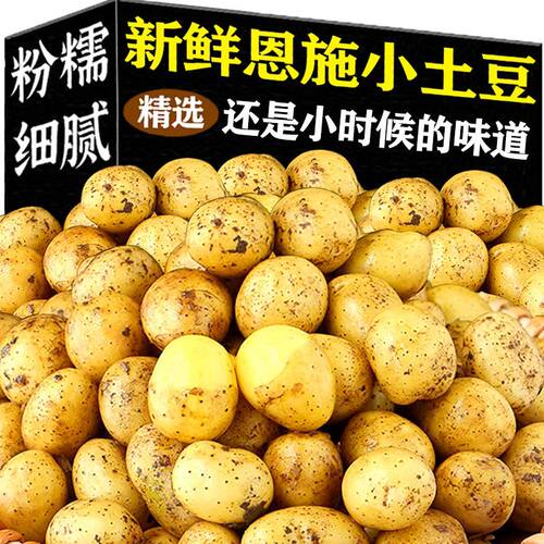 精品小土豆新鲜恩施黄皮黄心洋芋农家自种马铃薯蔬菜批发多规格
