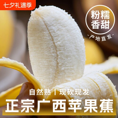 香蕉正宗苹果蕉9斤新鲜水果现摘孕妇小米蕉粉蕉自然成熟香甜不腻