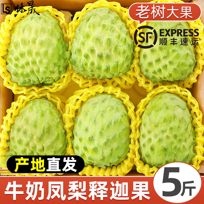 新鲜凤梨牛奶释迦果5斤大目释迦尼佛头果冰淇淋番荔枝特大果现摘