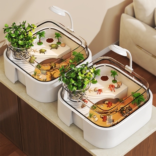 乌龟饲养缸家用小型爬台龟苗饲养盒发色盒养寄居蟹专用造景桌面缸