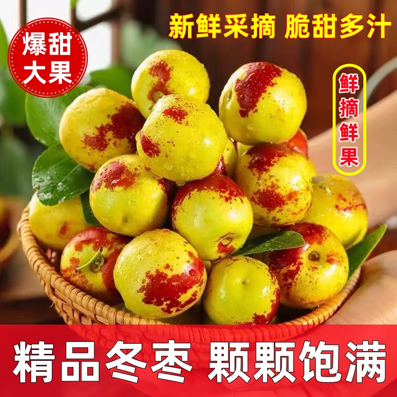 正宗冬枣脆甜新鲜大果应季整箱枣子现摘脆枣冰糖大枣5斤当季水果