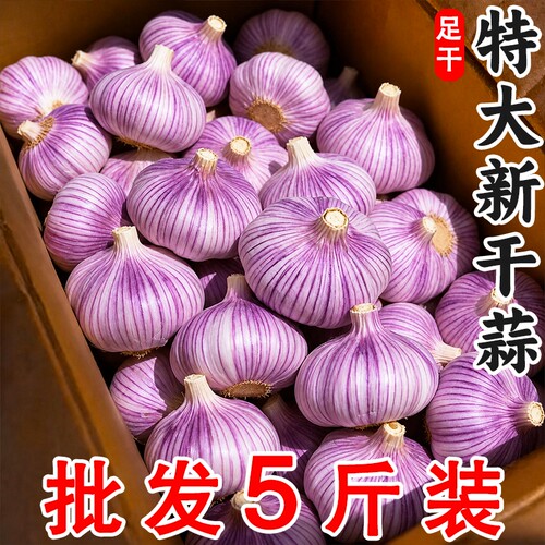 金乡紫皮大蒜蒜香味浓辛辣十足