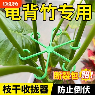支撑杆植物水培固定防倒伏花卉支撑架花架枝干收拢架定神器