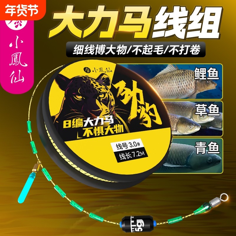 小凤仙大力马线组全套套装成品主线鱼线鱼钩鲫鱼大物双钩钓鱼线组,户外/登山/野营/旅行用品,线组,淘宝优惠券,粉丝福利购,淘宝优惠卷