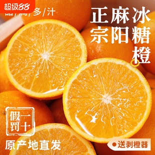 湖南麻阳冰糖橙橙子新鲜10水果整箱果冻冰糖甜橙年货节直供黄金