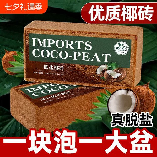【七天内超万人加购】椰砖