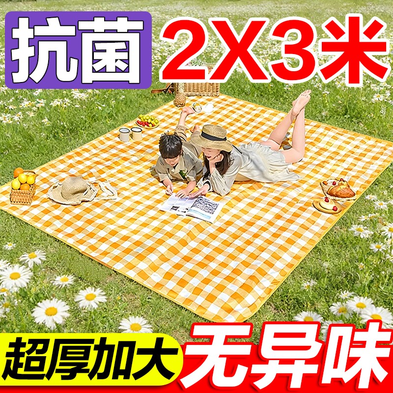 特厚加大野餐垫防潮垫户外露营地垫野外防水布便携帐篷草坪垫子