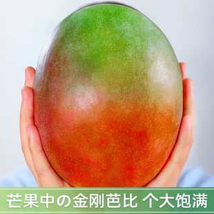 攀枝花凯特芒芒果新鲜水果当季整箱青皮大芒果包邮个头大爆甜肉厚