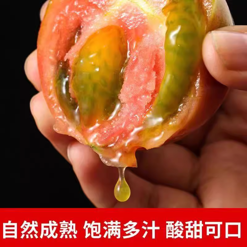 顺丰正宗铁皮丹东柿子盐碱地西红柿草莓新鲜自然水果现摘成熟番茄,水产肉类/新鲜蔬果/熟食,番茄,淘宝优惠券,粉丝福利购,淘宝优惠卷