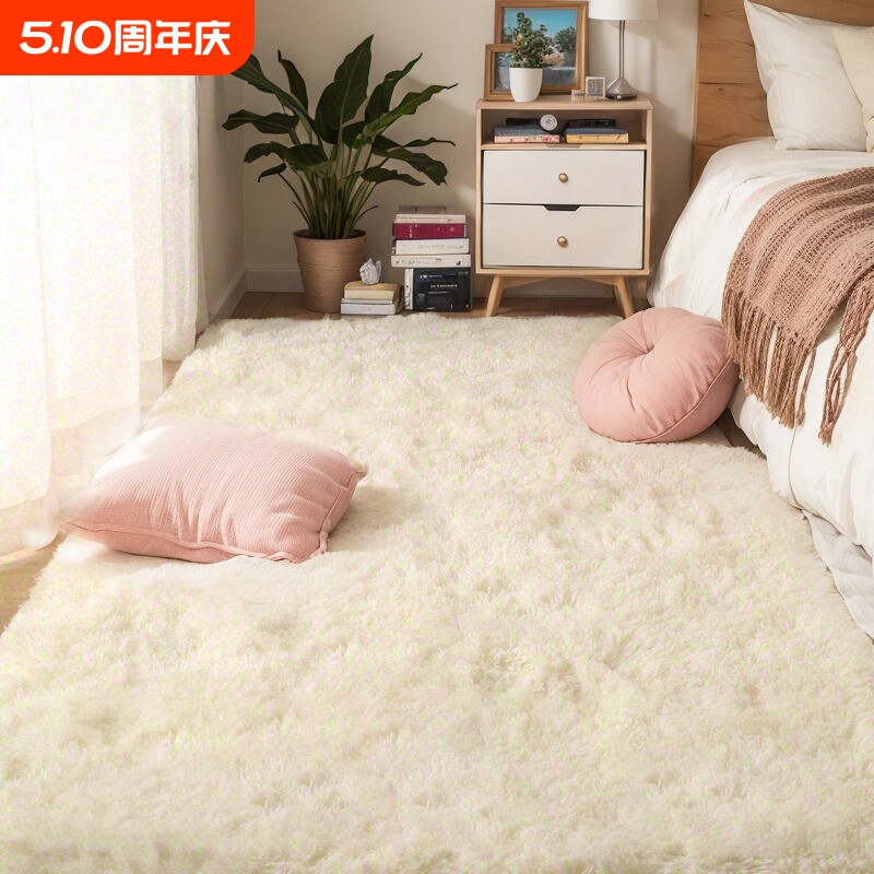 地毯卧室地垫床边毯加厚坐垫少女房间客厅茶几毯毛毯沙发入户电竞