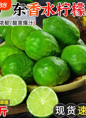广东香水柠檬薄皮无籽青柠檬一级新鲜大果酸宁檬当季新鲜水果湛江
