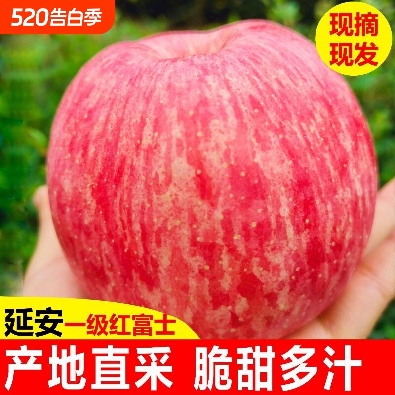 正宗陕西延安洛川苹果新鲜水果当季红富士非冰糖心整箱脆甜包邮