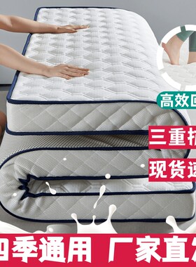 四季款床垫家用软垫褥铺地