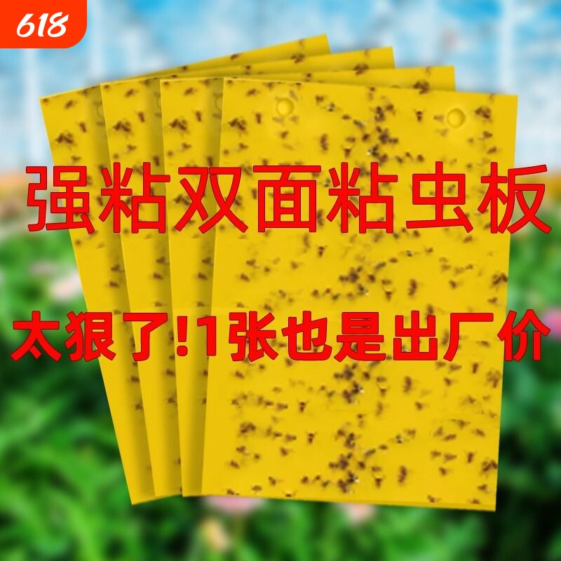 粘虫板黄板双面大棚专用小黑飞果蝇诱捕器诱虫板贴纸农用家用花园