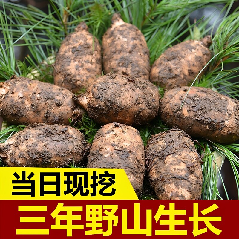 新鲜天麻正宗特级正品货昭通小草坝天麻根片非干货中药材包邮现发