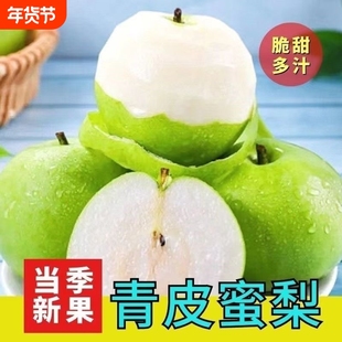 新鲜发货头茬青梨酥脆一号翠玉翠冠梨产地直发当季青皮玉梨脆甜