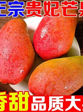 海南贵妃芒5斤树上熟芒果三亚特产当季新鲜水果自然熟特大果现摘
