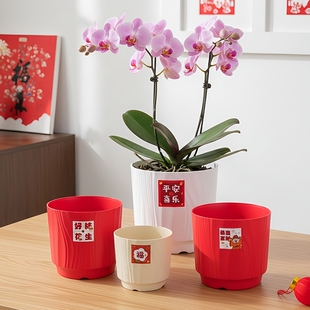 新年喜庆装饰年宵花盆蝴蝶兰专用盆带托盘平安喜乐2026年春节爆款