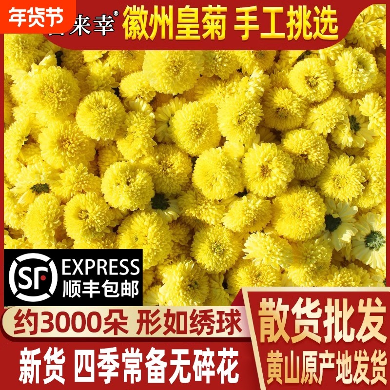 菊花茶特黄山徽州皇菊无硫散装黄贡菊婺源皇菊级大黄菊花枸杞茶